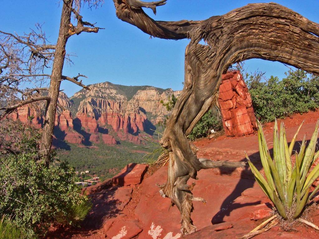 Baby Quail Inn Sedona Exterior photo
